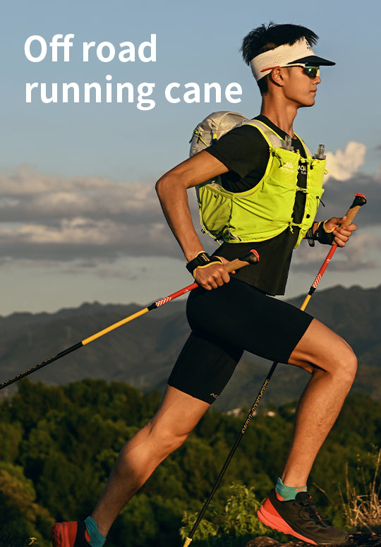 Trekking Pole