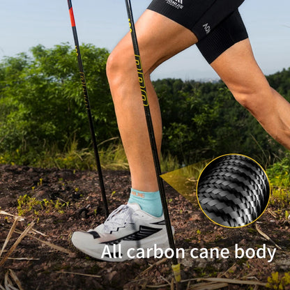 AONIJIE 2-Pack Carbon Fiber Trekking Poles – Quick-Lock & Ultralight (250g/Pole) for Hiking/Mountaineering-E4212